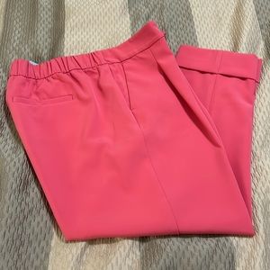 Loft Pink Pants